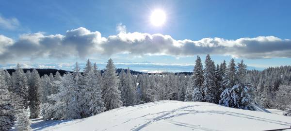 Le ski à l'ancienne