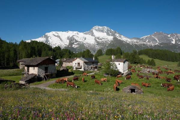 Découvrez la station de Sainte-Foy Tarentaise en été