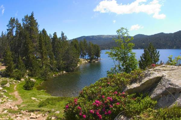 Découvrez les activités d'été à Font-Romeu