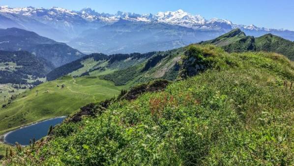 Découvrez la station de Praz de Lys Sommand en été