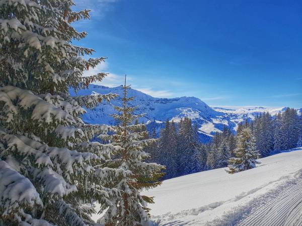 Saint-Gervais Mont-Blanc