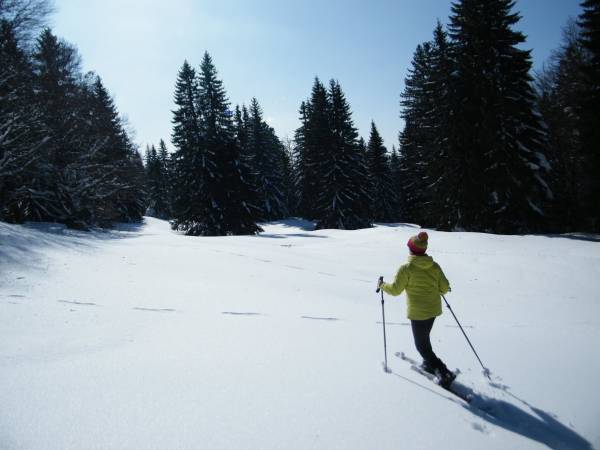 Le Ski Hok