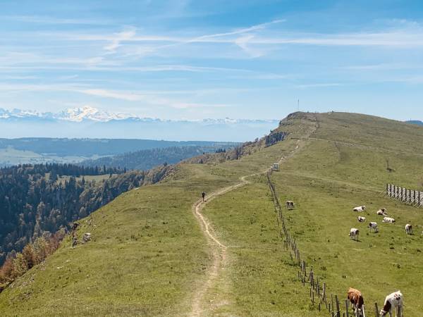 Découvrez les activités d'été à Longevilles Mont d'Or