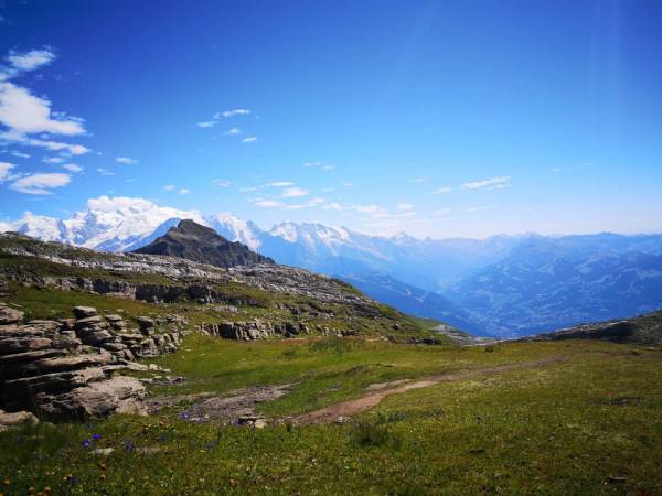 Découvrez les activités d'été à Flaine