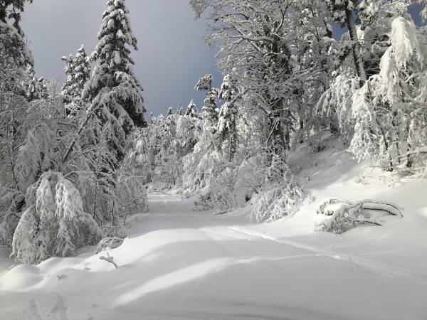 Découvrez le domaine nordique