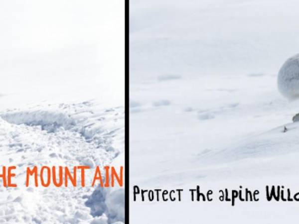 Be part of the mountain - Protéger la faune alpine