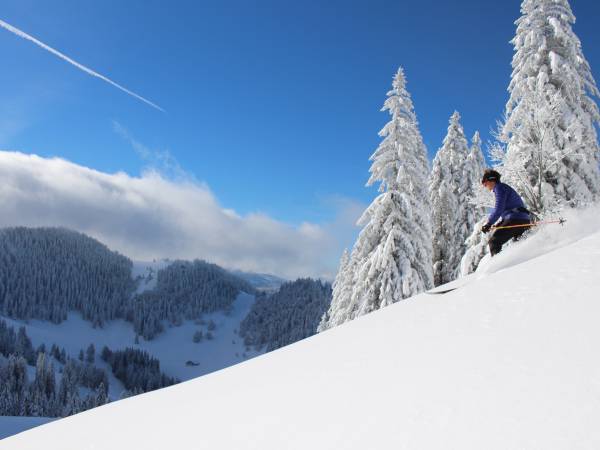 Le ski de randonnée nordique, l'activité 100 % éco-responsable de l'hiver !