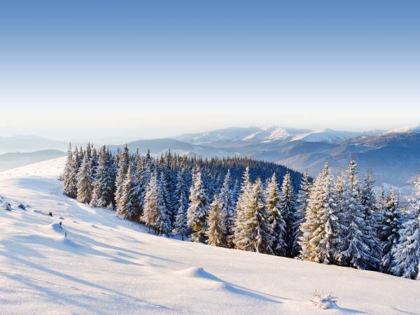 Explorez les Bienfaits Exceptionnels de la Montagne sur Votre Santé