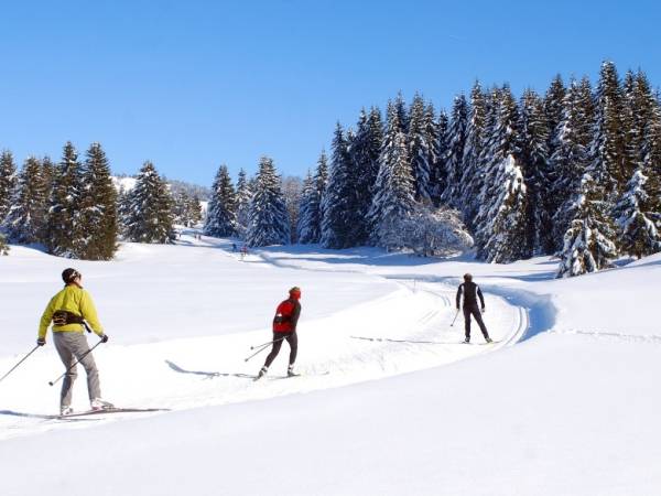 Sports d'hiver et calories : La Glisse vers une forme éclatante !