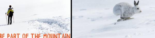 Be part of the mountain - Protéger la faune alpine