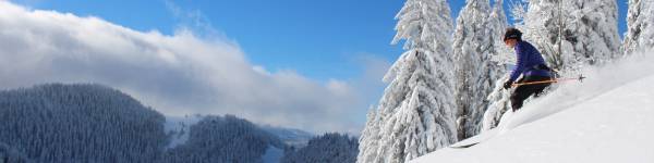 Le ski de randonnée nordique, l'activité 100 % éco-responsable de l'hiver ?