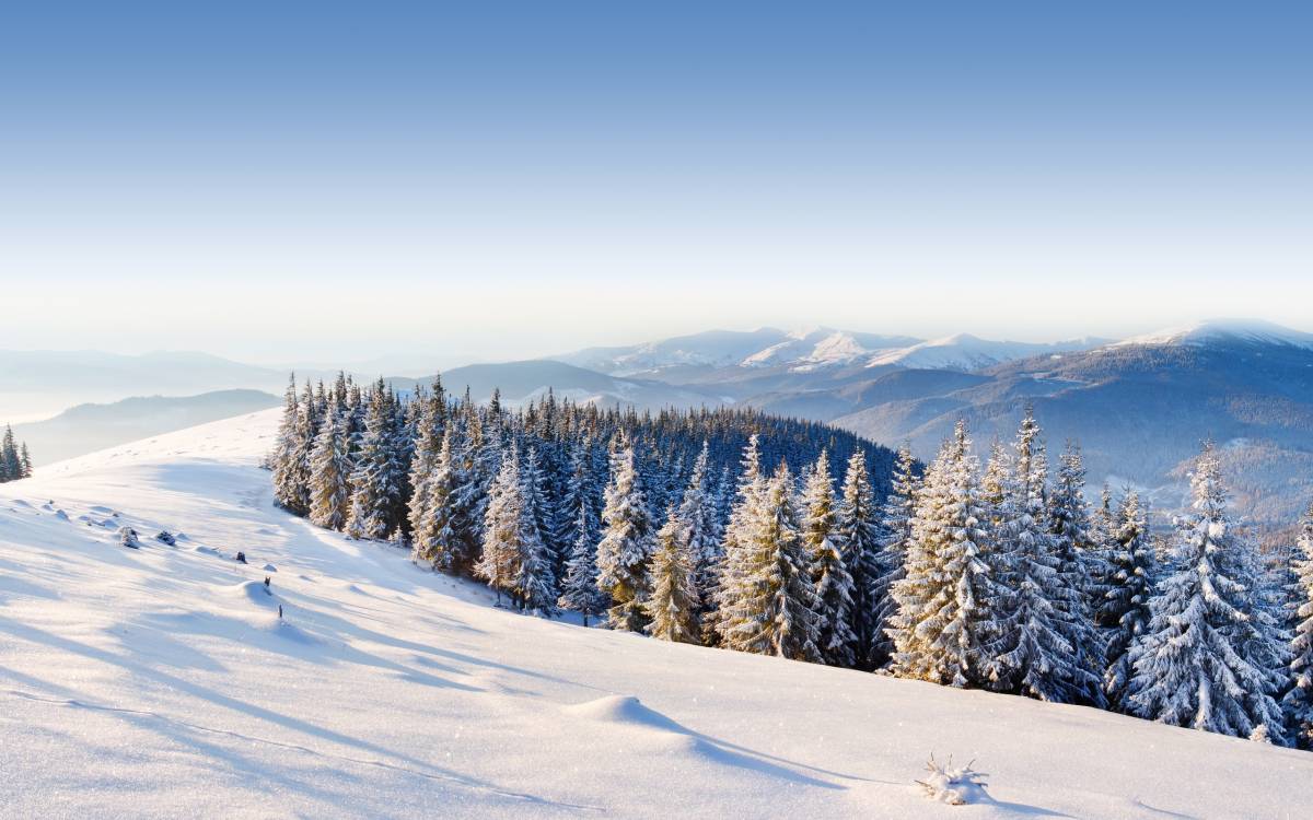 Explorez les Bienfaits Exceptionnels de la Montagne sur Votre Santé