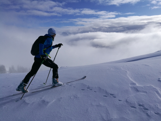 Ski de randonnée nordique