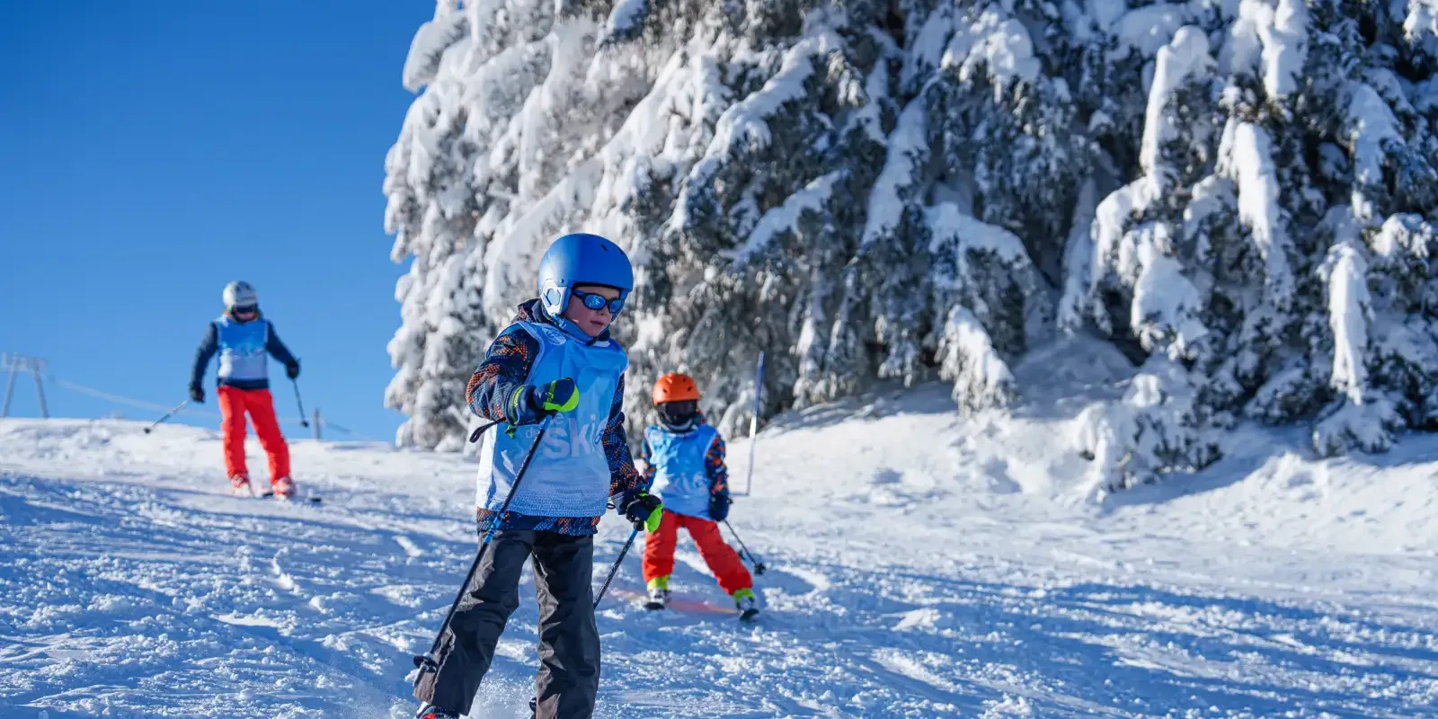 Image for Comment se déroule un premier cours de ski ?