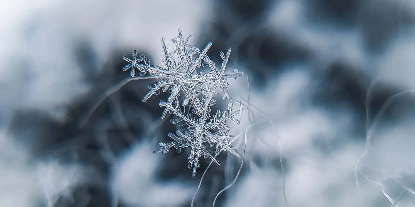 Image for 10 things you didn't know about snow