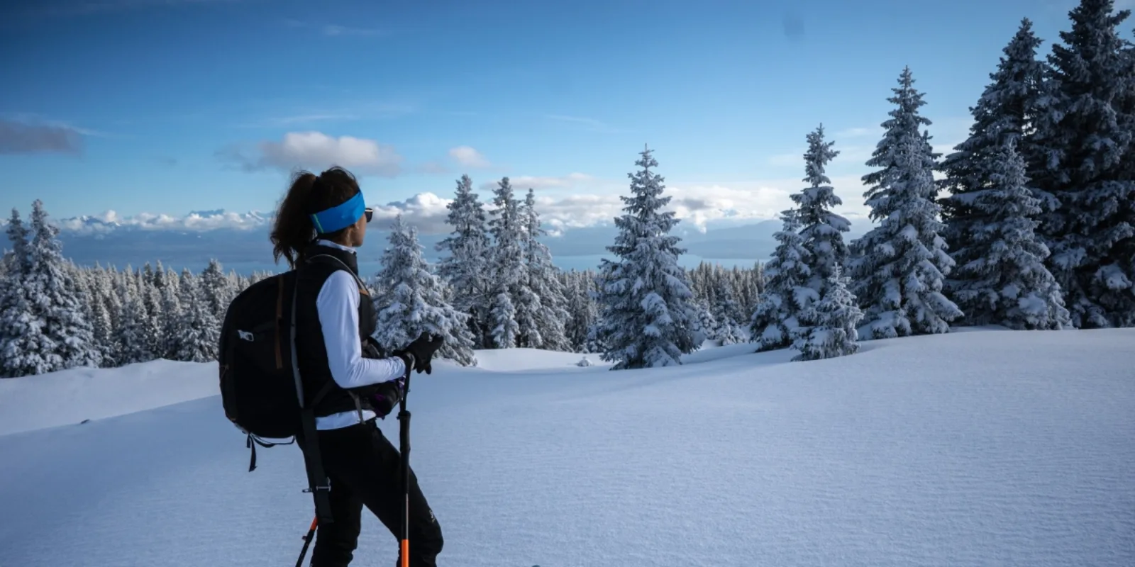 Image for La randonnée nordique, l&rsquo;activité 100 % éco-responsable de l&rsquo;hiver ?